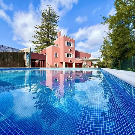 Stylish 1 With Pool By Homing Apartment