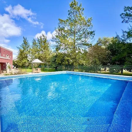 Stylish 1 With Pool By Homing